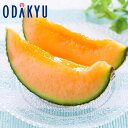 お中元 夏 ギフト 送料無料 北海道らいでんメロン 赤肉 HRMA28 |指定日届※沖縄・離島へは届不可(直)