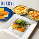 お中元 夏 ギフト 送料無料 ふくいサーモン洋風バラエティセット FB-50 |7-10日程度でのお届け※北海道・沖縄・離島へは届不可(直)