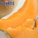 お中元 夏 ギフト 送料無料 ふらのメロン 2玉 1023 |7月上旬〜8月初旬以降のお届け※沖縄・離島へは届不可(直)