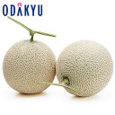 お中元 夏 ギフト 送料無料 お中元好適品 静岡県産 マスクメロン 2玉 |6月下旬以降のお届け※沖縄・離島へは届不可(直)