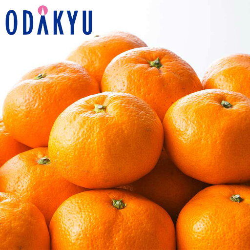 お中元 夏 ギフト 送料無料 お中元好適品 佐賀県産ハウスみかん約2kg |6月下旬以降のお届け※沖縄・離島へは届不可(直) お中元 夏 ギフト 送料無料 お中元好適品 佐賀県産ハウスみかん約2kg |6月下旬以降のお届け※沖縄・離島へは届不可(直)