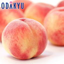 お中元 夏 ギフト 送料無料 お中元好適品 岡山県産旬のもも6玉セット |6月下旬以降のお届け※沖縄・離島へは届不可(直)