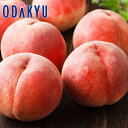 お中元 夏 ギフト 送料無料 お中元好適品 山梨県産 春日居の桃 6玉 |6月下旬以降のお届け※沖縄・離島へは届不可(直)
