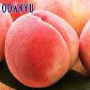 お中元 夏 ギフト 送料無料 お中元好適品 山梨県産 大糖領もも6玉 |6月下旬以降のお届け※沖縄・離島へは届不可(直)