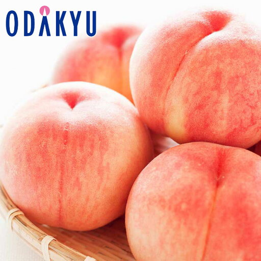 お中元 夏 ギフト 送料無料 山梨県産高糖度もも 6玉 |6月下旬以降のお届け※沖縄・離島へは届不可(直) お中元 夏 ギフト 送料無料 山梨県産高糖度もも 6玉 |6月下旬以降のお届け※沖縄・離島へは届不可(直)