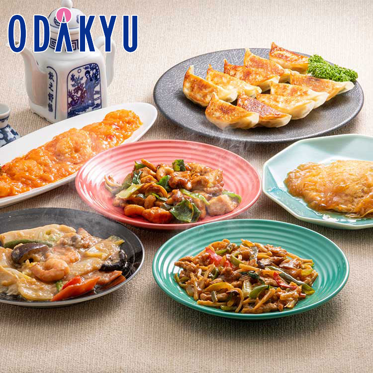 お中元 夏 ギフト 送料無料 ［ 四陸 ］ 本格中華惣菜と飲茶セット CR-6A ｜7-10日程度で