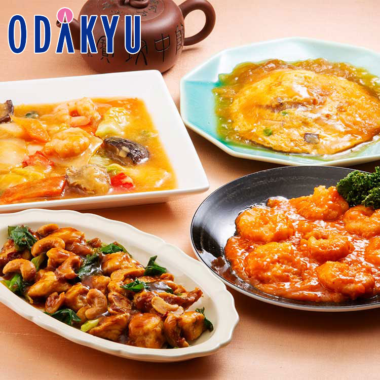 お中元 夏 ギフト 送料無料 ［ 四陸 ］ 中華料理4種セット SK-4A ｜7-10日程度でのお届け※沖縄・離島へは届不可(直)