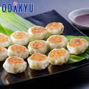 お中元 夏 ギフト 送料無料 黒豚のジューシー焼き小籠包セット 自家需要 KYS-4 |7-10日程度でのお届け※沖縄・離島へは届不可(直)