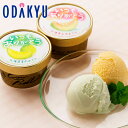 お中元 夏 ギフト 送料無料 いつもありがとう 北海道メロンアイスセット 2種10個 |7-10日程度でのお届け※沖縄・離島へは届不可(直)