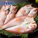 お中元 夏 ギフト 送料無料 のどぐろとあま鯛の干物 SA-NA |7-10日程度でのお届け※沖縄・離島へは届不可(直)