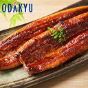 お中元 夏 ギフト 送料無料 浜松・浜名湖 うなぎ特大蒲焼 2人前 210g × 2 |7-10日程度でのお届け※沖縄・離島へは届不可(直)