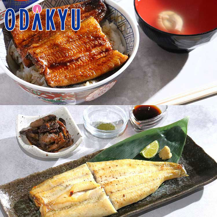 丑の日 土用丑の日 2025 送料無料 ［ 京都・鰻割烹 まえはら ］ 鰻割烹懐石膳 B MKSZ-