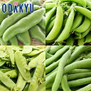そら豆 えんどう 旬 野菜 送料無料 4種類 まめまめまめまめセット |7-12日程度でのお届け※沖縄・離島へは届不可(直)