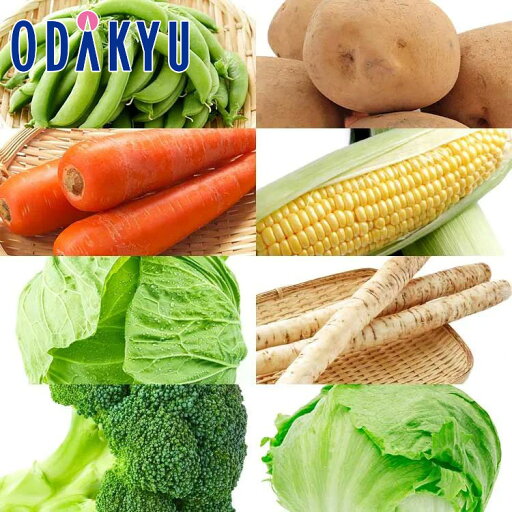 旬 野菜 送料無料 春のお野菜セット |7-12日程度でのお届け※沖縄・離島へは届不可(直) 旬 野菜 送料無料 春のお野菜セット |7-12日程度でのお届け※沖縄・離島へは届不可(直)