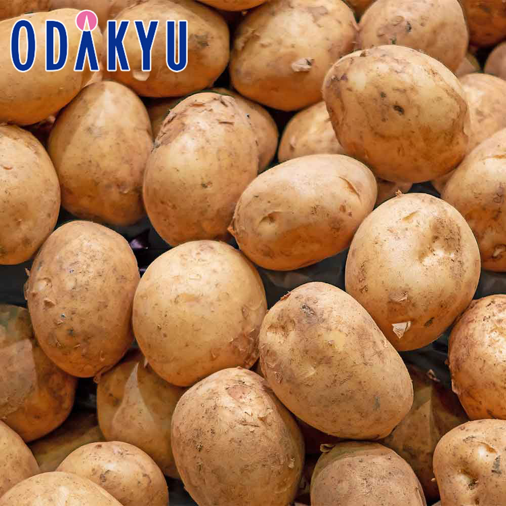 じゃがいも 旬 野菜 送料無料 鹿児島県産ほか 新ジャガイモ 5kg S〜L |7-12日程度でのお届け※沖縄・離島へは届不可(直)