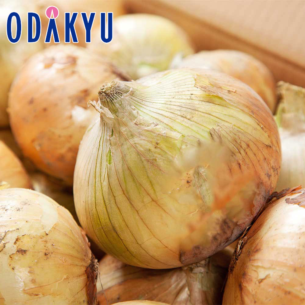 たまねぎ 旬 野菜 送料無料 佐賀県産ほか 新玉ねぎ 5kg M〜2L |7-12日程度でのお届け※沖縄・離島へは届不可(直)