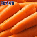 人参 旬 野菜 送料無料 徳島県産ほか 新にんじん 5kg LM~2L |7-12日程度でのお届け※沖縄・離島へは届不可(直)