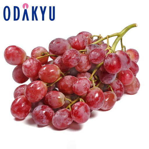 葡萄 旬 野菜 送料無料 オーストラリア産ほか 種なし皮ごと赤ぶどう 約350g × 3P |7-12日程度でのお届け※沖縄・離島へは届不可(直) 葡萄 旬 野菜 送料無料 オーストラリア産ほか 種なし皮ごと赤ぶどう 約350g × 3P |7-12日程度でのお届け※沖縄・離島へは届不可(直)