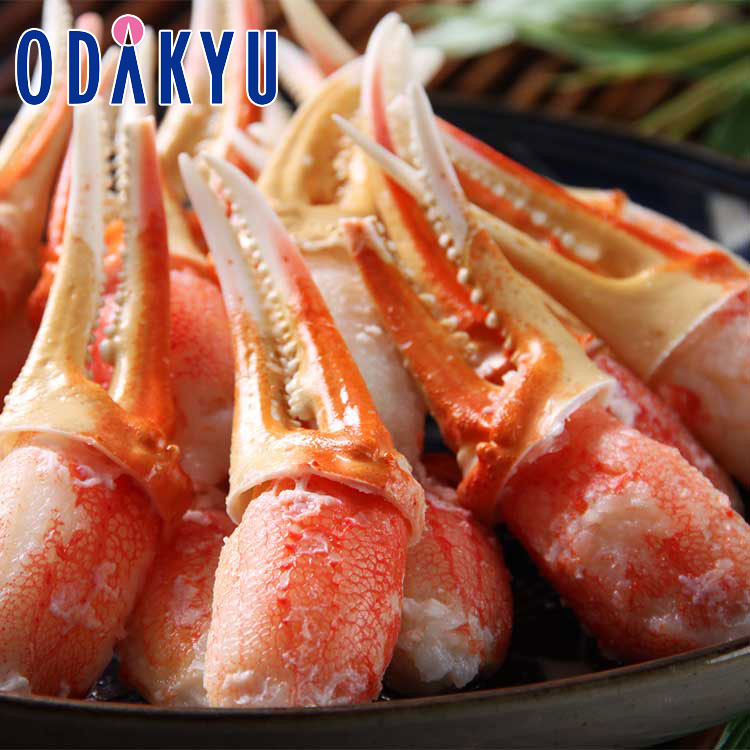 冬 ギフト 送料無料 ボイルずわいかに爪 430304 ｜指定日届※沖縄・離島へは届不可(直)