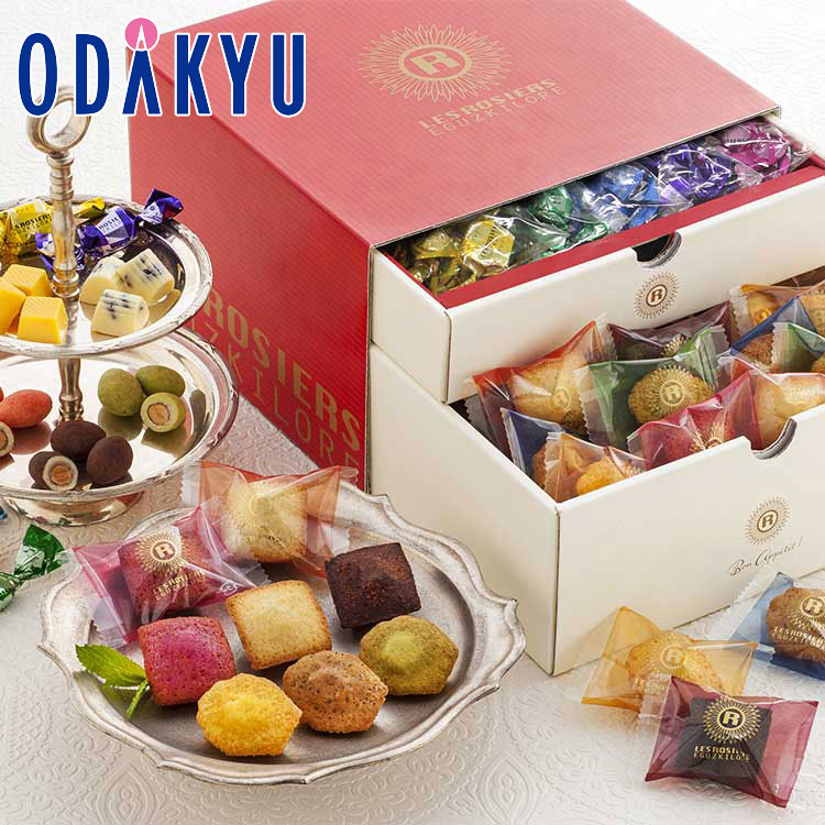 冬 ギフト 送料無料 ［ 銀座京橋 レ ロジェ エギュスキロール ］ 銀座プチガトー & ショコラ YJ-GC ｜指定日届※沖縄・離島へは届不可(直)