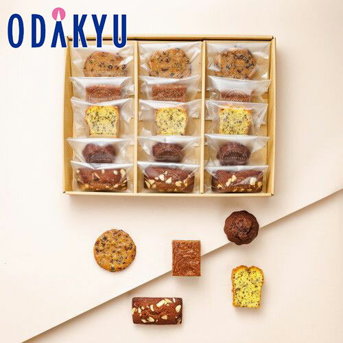 冬 ギフト 送料無料 ［ ル・ショコラ・アラン・デュカス ］ ガトー・ド・ヴォワヤージュ 15個入り ｜指定日届※沖縄・離島へは届不可(直)