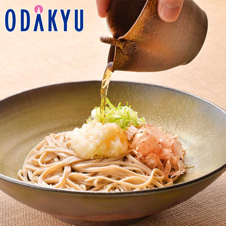 冬 ギフト 送料無料 本場 越前おろしそば 8人前 辛味大根 ・ つゆ付 |指定日届※北海道・沖縄・離島へは届不可(直)