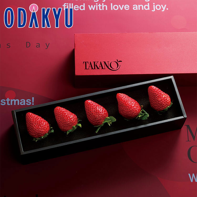 ĵɴŹŷԾŹ㤨֥ꥹޥ 2025  ɹ  ꥹޥȥ٥꡼A 12211225Τ˽缡Ϥ졦ΥؤԲ(XפβǤʤ5,400ߤˤʤޤ