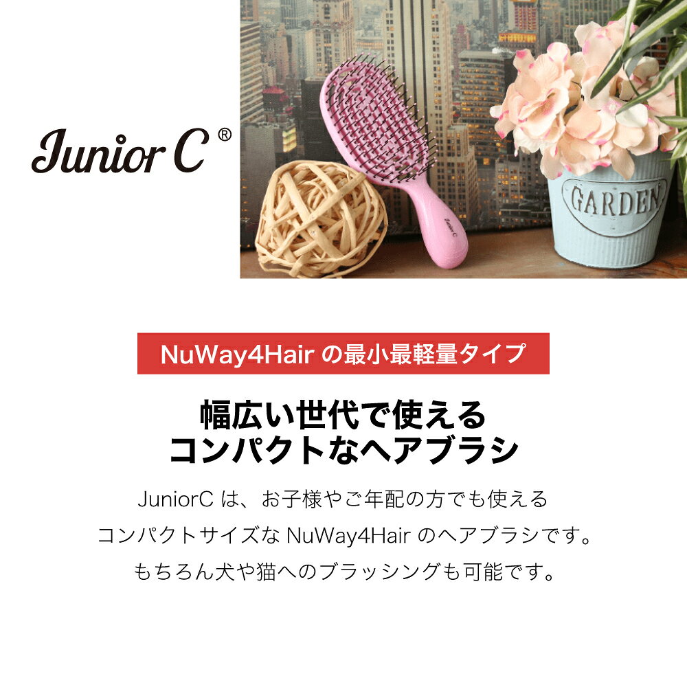 サンプル画像2