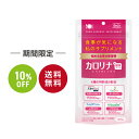 お買い物マラソン SALE 10%OFF 送料無