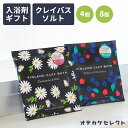 入浴剤 プチギフト 入浴剤 お洒落 ギフト プレゼント 女性 かわいい おしゃれ バスソルト 芳香 保湿 リラックス 粉末 香り 国産 日本製 個包装 入浴剤 ...