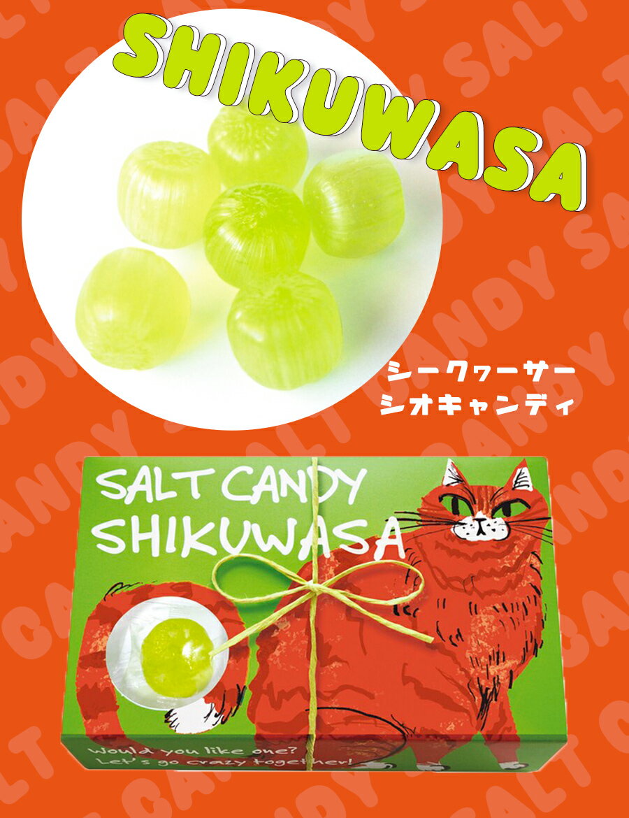 【楽天1位獲得】 【 4個セット】プチギフト お菓子 ギフト セット 塩 キャンディ 飴 塩飴 塩キャンディ 熱中症対策 暑さ対策 おしゃれ かわいい 国産 個包装 お返し お礼 挨拶 動物 デザイン スイカ サイダー シークヮーサー レモン 3