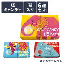 キャンディ 【クーポン有29日20時】【6個セット】プチギフト ギフト お菓子 塩 キャンディ 飴 塩飴 塩キャンディ 熱中症対策 暑さ対策 おしゃれ かわいい 国産 個包装 お返し お礼 挨拶 動物 レトロ デザイン 塩サイダー サイダー レモン シークワーサー スイカ