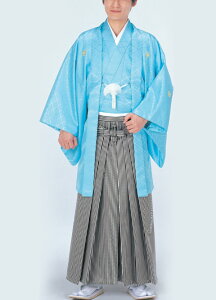 踊り用 袴 縞 はかま 銀黒(縞巾約5mm) 舞台衣裳、卒業式、成人式等にも通販
