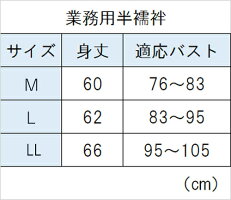 【半襦袢】【業務用半襦袢】和装下着じゅばん二部式着物襟付き着物和服肌着