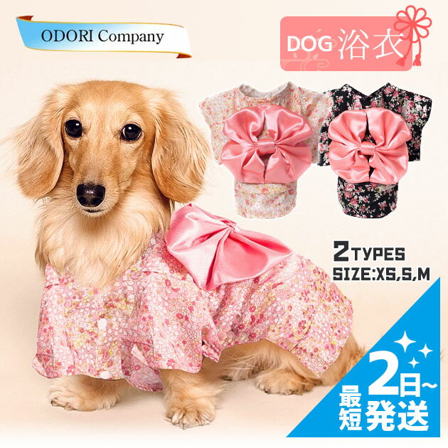 犬 夏服 小型犬 かわいい 浴衣 おしゃれ