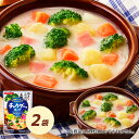 野菜ソムリエ青野果菜監修 野菜をいっぱい食べるスープ チャウダー用スープ 2袋セット スープ ダイショー