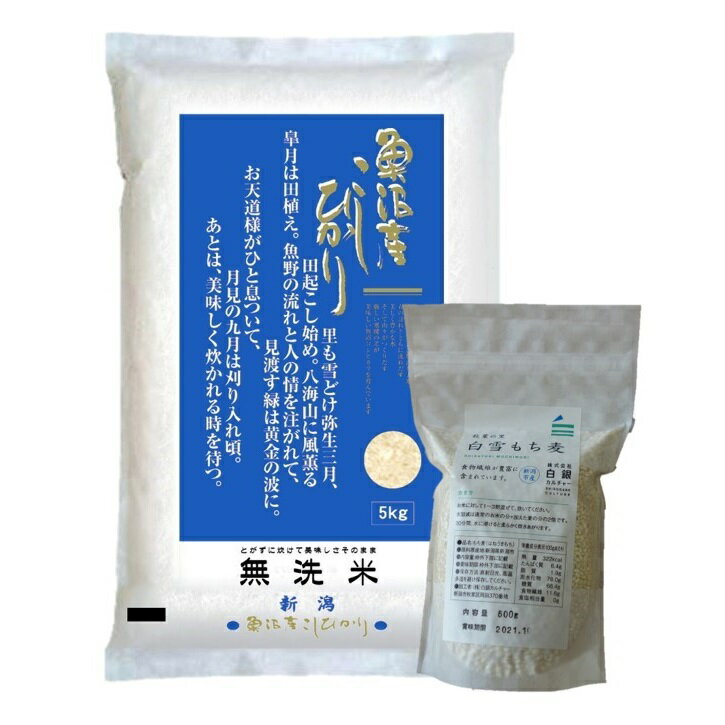 （令和5年産・2023年産）魚沼産コシヒカリ（無洗米）5kg＋新潟市秋葉区産もち麦450g詰め合わせセット