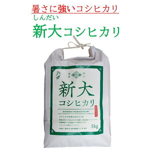 （令和5年産・2023年産）　新大コシヒカリ　5kg　（しんだいコシヒカリ） 新潟県産　コシヒカリ　新潟米　米　コシヒカリ　こしひかり　新潟　新潟大学　新潟大　しんだい　にいだい　がただい　農学部　三ツ井教授　暑さに強い　新品種