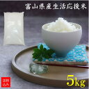 <新米・令和7年産・2025年産> 家計応援!富山県産 生活応援米 5kg ※富山県産米100%使用の業務用米(中米) 数量限定 訳あり 規格外 お買い得 お得 コスパ 安い