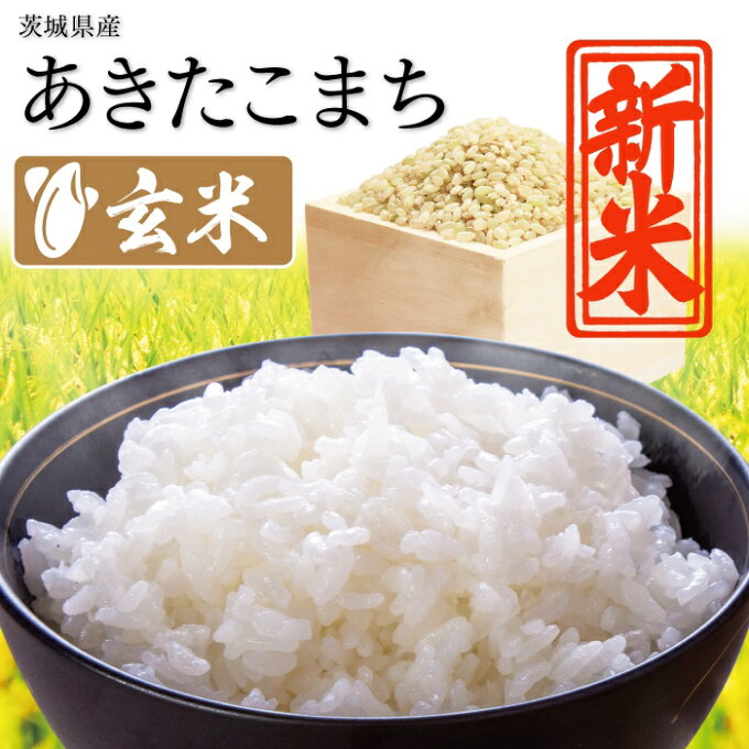 【楽天スーパーセール 期間中限定 20％OFF】 【玄米】 あきたこまち　茨城県産 米 30kg (紙袋入り) 送料無料 令和5年 ＜br＞ 30キロ 令和五年 茨城 コメ 米 銘柄米 ブランド米 単一原料米