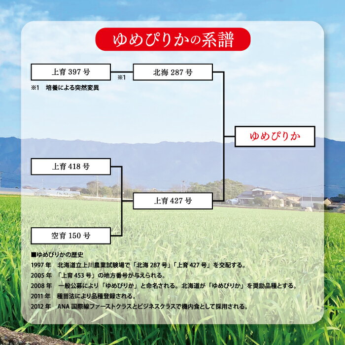 【お買い物マラソン 20％OFF】 ゆめぴりか 北海道産 令和5年 令和五年 送料無料 白米 3