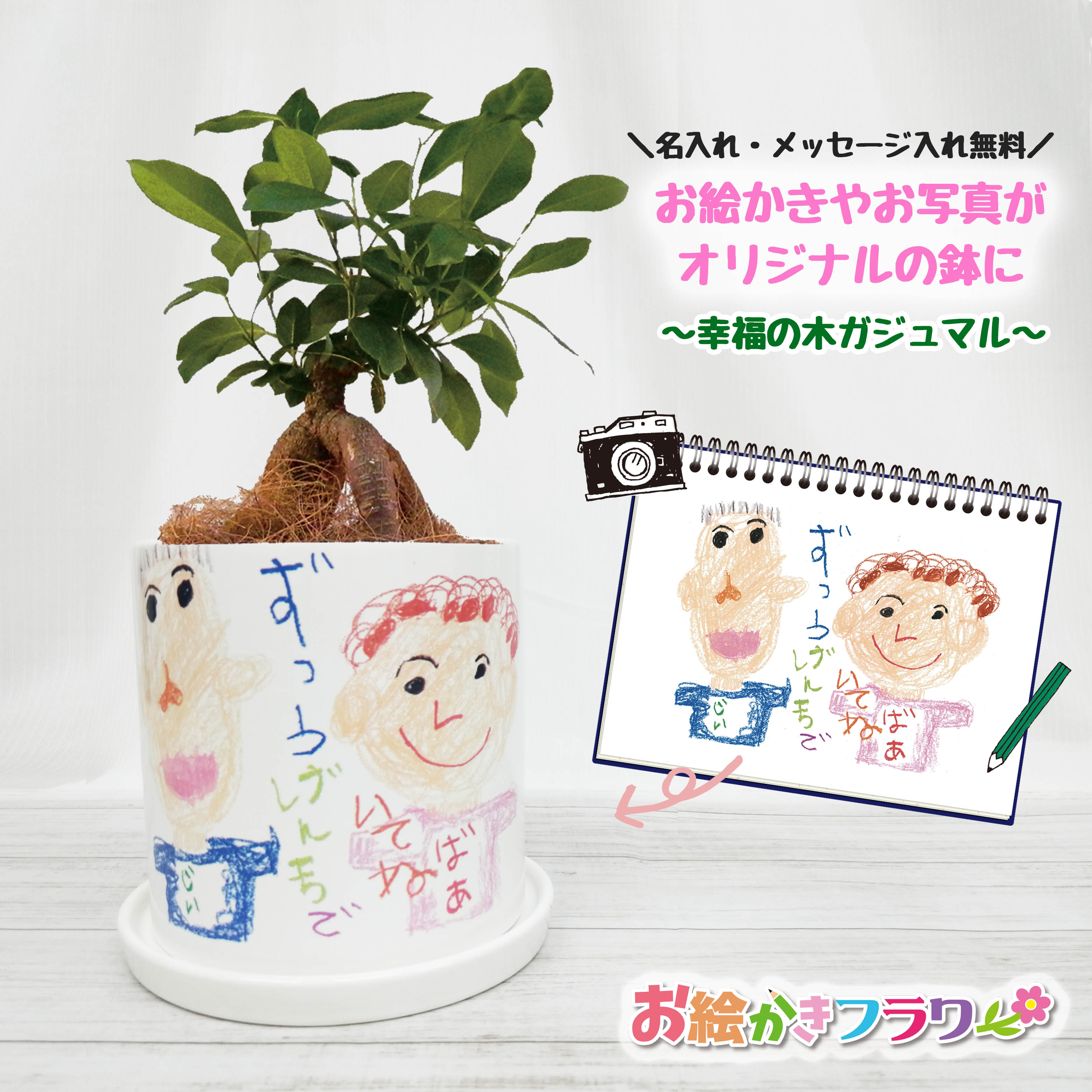 幸福の木 観葉植物 【写真入り プレゼント】送料無料 名入れ 孫 子ども お絵かき 写真入り 卒園記念品 先生 園児 子ども 卒団記念品 監督 コーチ 観葉植物 鉢植え オリジナル 植木鉢 フラワーギフト 敬老の日 父の日 お絵かきフラワー ガジュマル 幸福の木 インテリア 花 贈り物 結婚祝い