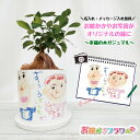 【写真入り プレゼント】送料無料 名入れ 孫 子ども お絵かき 写真入り 卒園記念品 先生 園児 子ども 卒団記念品 監督 コーチ 観葉植物 鉢植え オリジナル...
