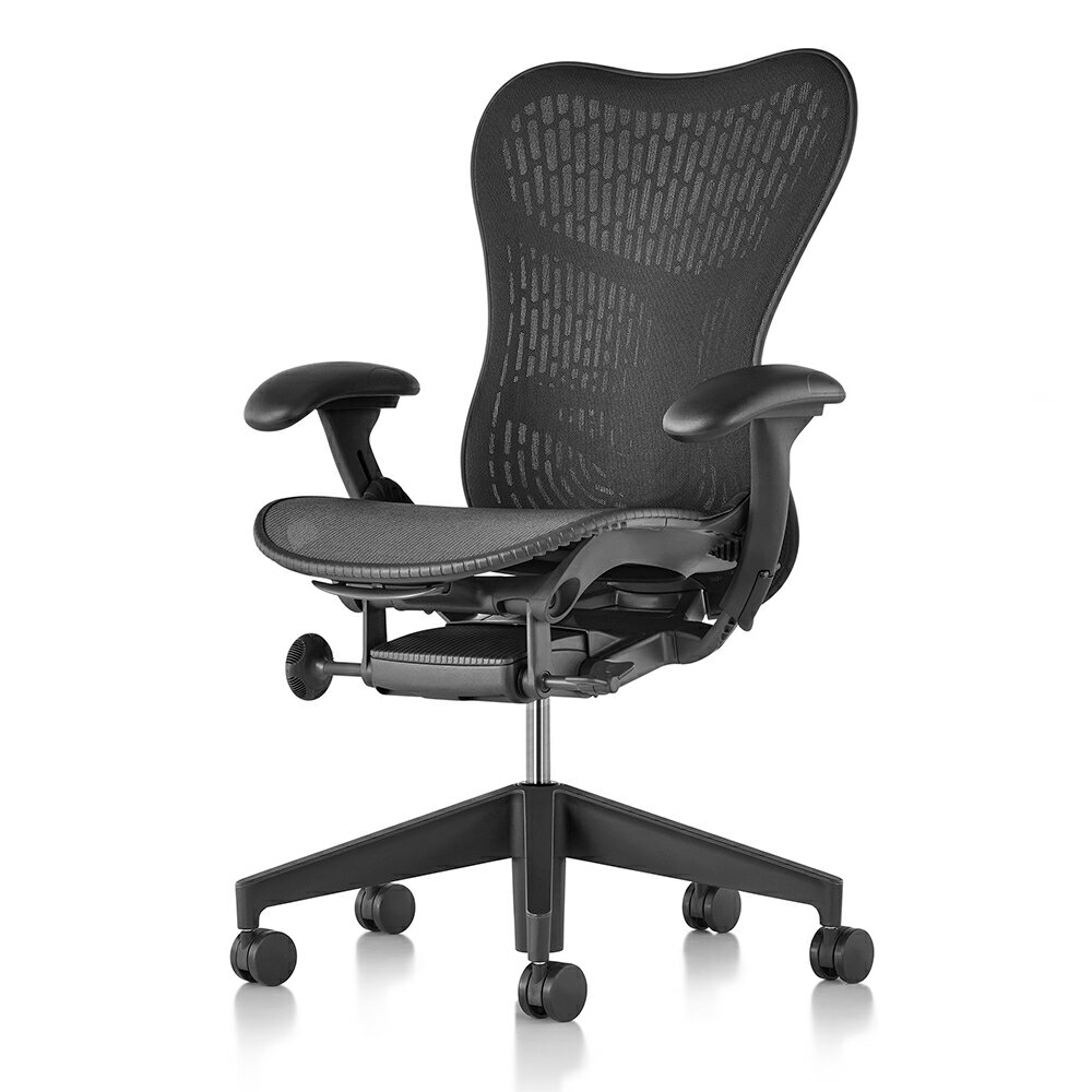 《正規店 メーカー保証対応可 梱包材回収 P5倍》Herman Miller ハーマンミラー ミラ2チェア（Mirra2 Chairs）バタフ…