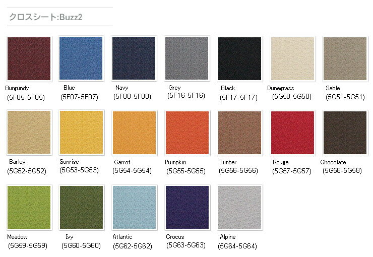 ������������ �꡼�� US BUZZ2 NewBlack