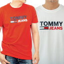 トミーヒルフィガー メンズ Tシャツ TOMMY HILFIGER DM0DM07843XNL DM0DM07843YBR レッド ホワイト プレゼント 10代 20代 30代 40代