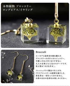 本物の野草や野菜を使ったイヤリング【michicusa ミチクサ】アクセサリー レジン ハンドメイド フレッシュドライ製法 手作業 一品物 野菜 植物 花 ドライフラワー 可愛い アクセント おしゃれ お洒落 レディース 送料無料