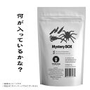 昆虫食 食用 閲覧注意【昆虫ガチャ】どの子が届くかはお楽しみ！お得なミステリーボックス YouTubeで大流行 食用 昆虫食 良質な脂質が..