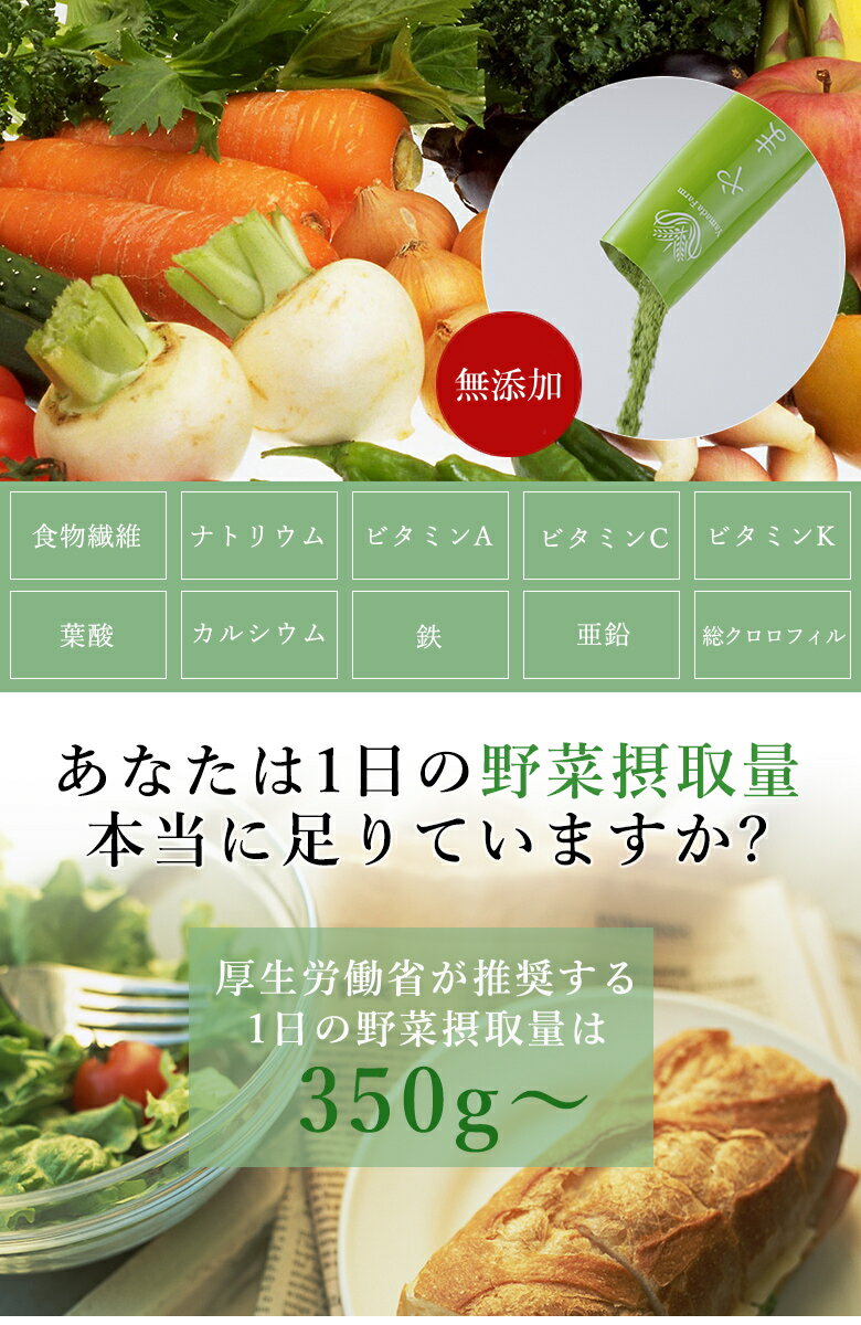 【買い回り対象商品】送料無料 やまだの青汁 NATURAL AOJIRU 10包 10日分 お試し 青汁 抹茶の味わいでお子様にも好評！飲みやすい 美味しい 青汁 1杯で1日分の野菜　食物繊維たっぷりで 酵素