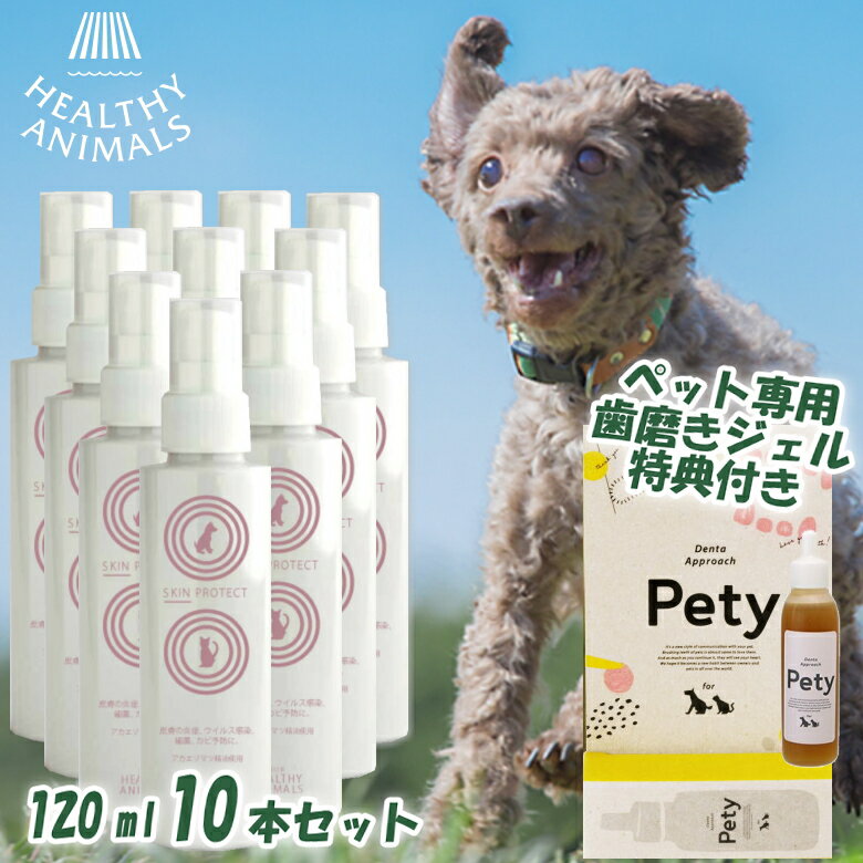 商品名 スキンプロテクトスプレー 120ml×10本セット ブランド HEALTHY ANIMALS / ヘルシーアニマルズ 内容量 120ml×10本セット 成分 水、プロパンジオール、グリセリン、ラフィノース、トウキ根エキス、ハトムギ種子エキス、ローズマリー葉エキス、アカエゾマツ精油、クエン酸 Na、クエン酸、ラウリン酸ポリグリセリル-10、PEG-60水添ヒマシ油、BG、カワラヨモギエキス、チョウジエキス、カプセル酸グリセリル 生産国 日本 ご注意 お肌、皮膚に異常が現れた場合は使用を中止してください。本品が目に入らないように中止し、もし入った場合は、すぐに水でよく洗い流してください。 保存方法 直射日光、高温多湿を避け、保管お願いいたします。 商品説明 人やペットの皮膚に対してアカエゾマツ精油の爽やかな香りで、消臭やリラックス効果の高い、ヒーリングスプレーです。アカエゾマツは北海道東部の針葉樹林に多く、アイヌの人々に「女神の木」と呼ばれています。香りがとても良く、抽出した精油には数多くの効果が認められています。 関連キーワード マラセチア 犬 マラセチア菌 猫 効く 天然素材 愛犬 いぬ ねこ ペット ケア 人気 スプレー シャンプー PCK スプレー アカエゾマツ アカエゾマツ 北海道 精油 コミ 肌に優しい リラックス 効果 抗菌 ヘルシーアニマルズ HEALTHY ANIMALS SKIN PROTECT 想いを繋ぐ百貨店【TSUNAGU】